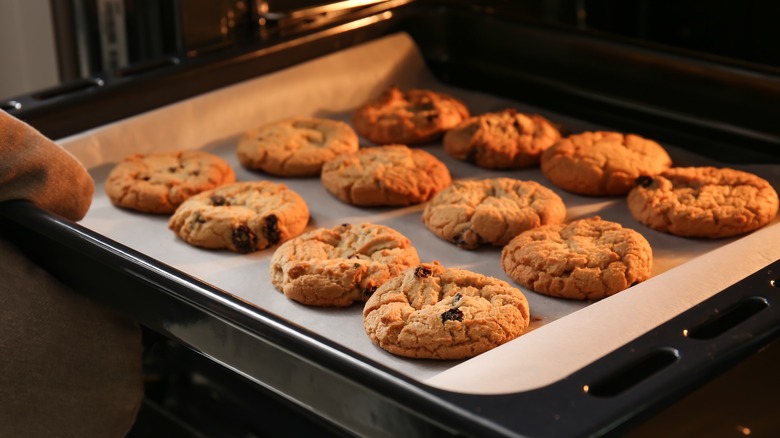 A tray of chocolate chip cookies coming out of the oven