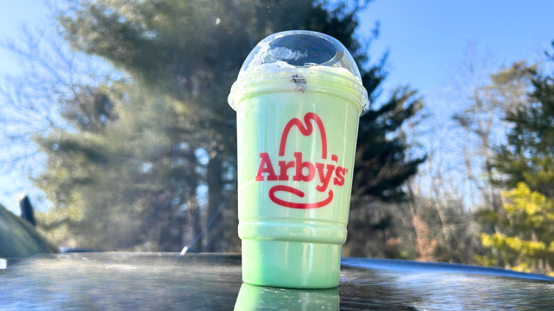 Arby's Andes Mint Chocolate Shake artistically framed against a blurred nature background