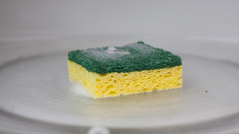 kitchen sponge in microwave