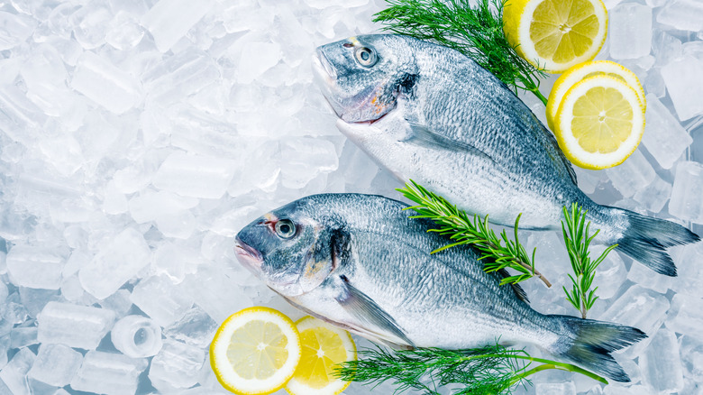 whole sea bream on ice