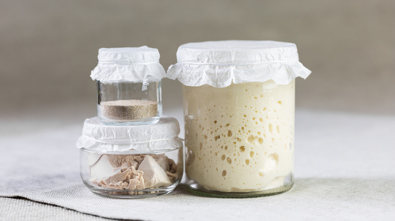 yeast in jars
