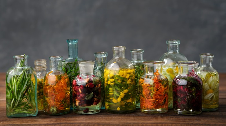 array of botanical infusions