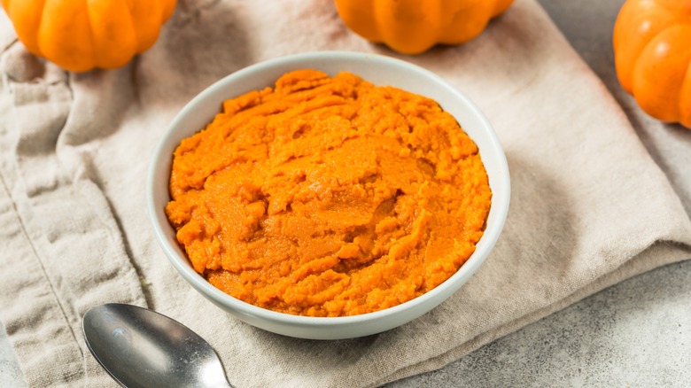 A small bowl of pumpkin purée