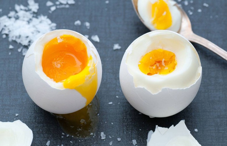 Eggs                                             