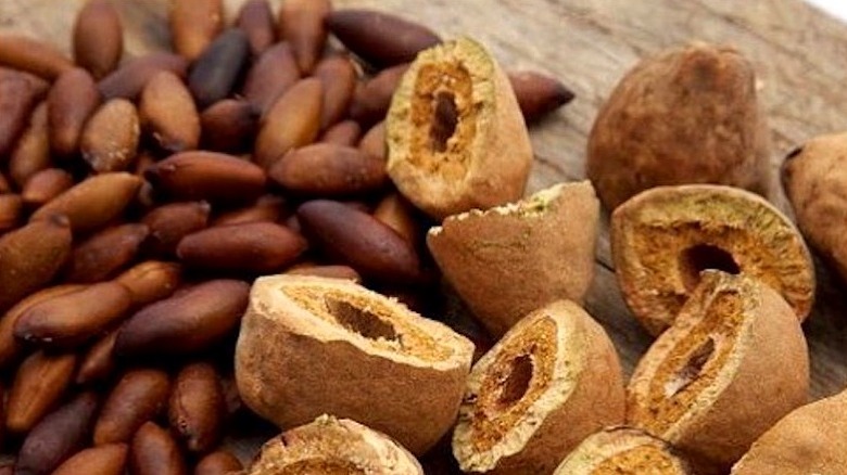 Baru nuts and shells