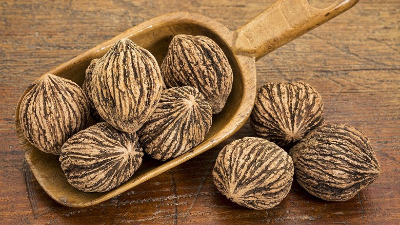Black walnuts with scooper