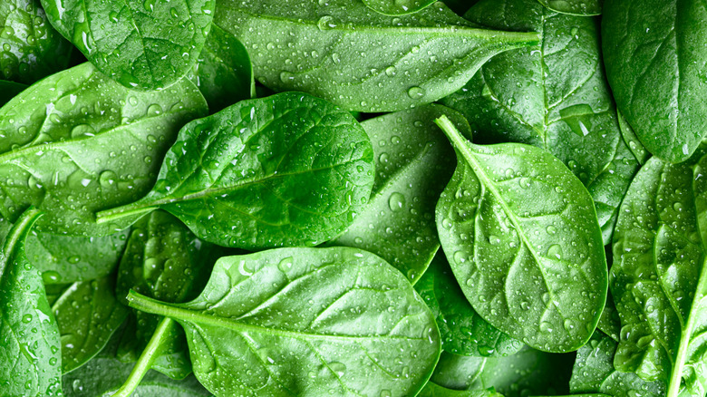 Spinach with water droplets