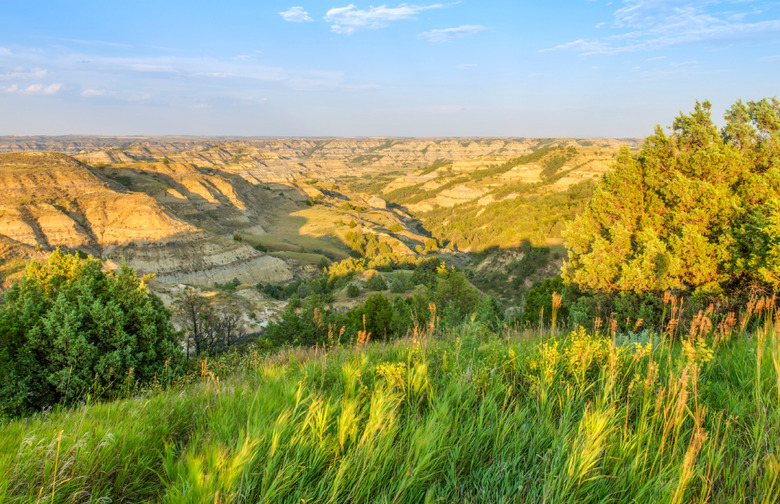 Theodore Roosevelt National Park