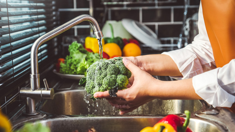 Person in apron washing broccoli under sink