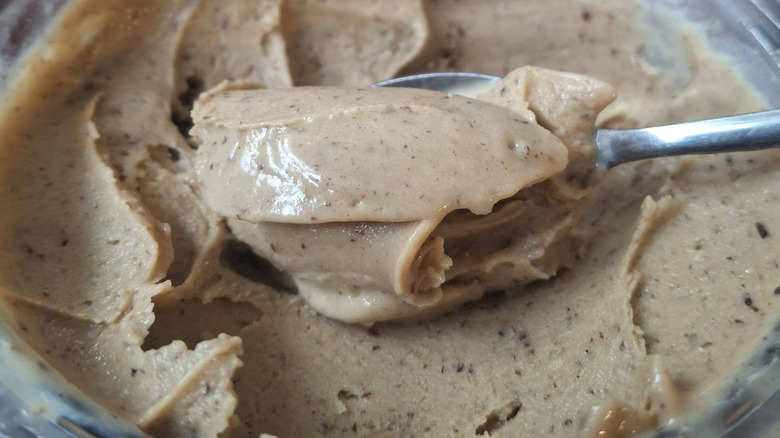 Spoon scooping Ninja Creami ice cream