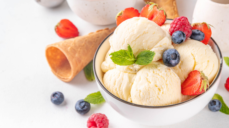 Bowl of ice cream with berries