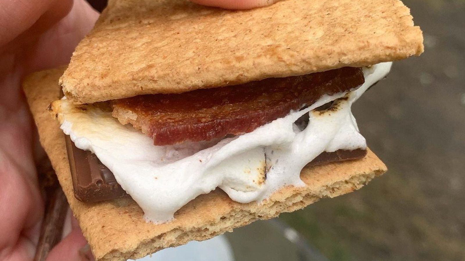 No One Can Stop You From Putting Bacon In Your S'mores - Vimarsana News