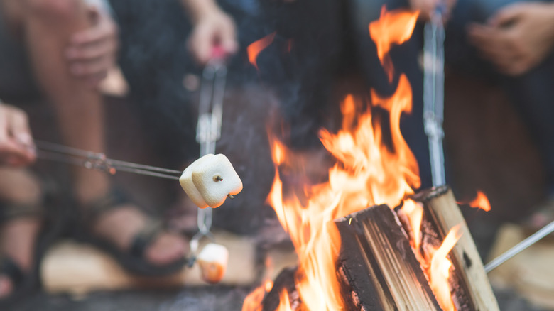campers roasting marshmallows