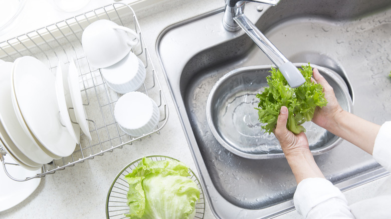 How to Wash Lettuce With and Without a Salad Spinner
