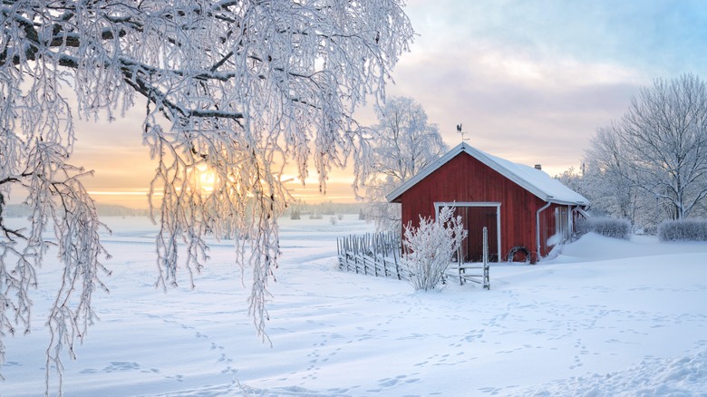 Finnish farm in winter