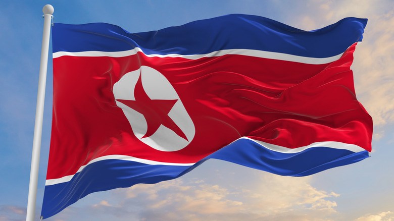 flag of North Korea waving