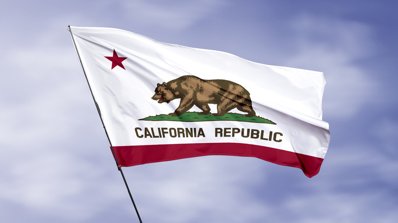 California state flag in the sky