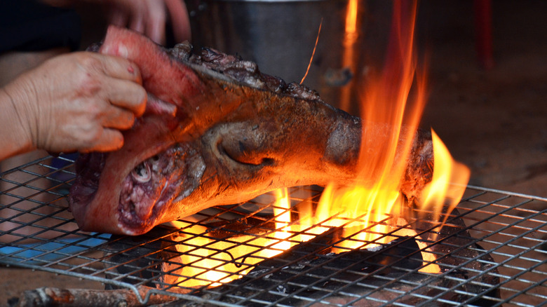 Hands holding meat over a fire