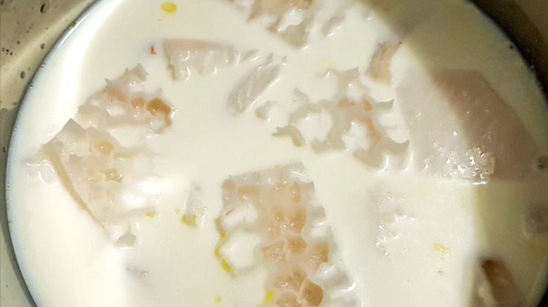 Tripe and onions cooking in a pot