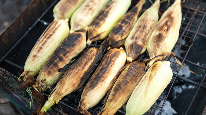 Overhead view of corn roasted in husk over open coal barbeque
