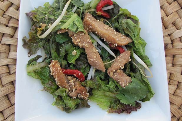 THAILAND - Wok-Seared Duck Salad