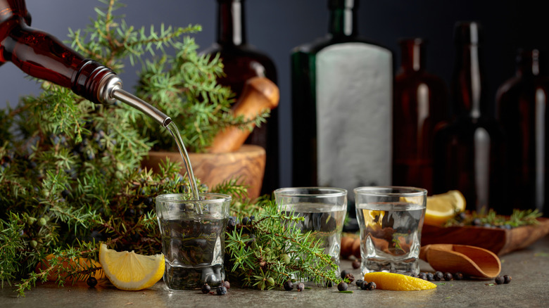 Gin poured into glass with juniper branches and lemon wedges