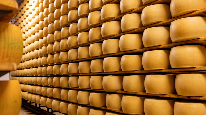A warehouse with tall shelves full of cheese wheels