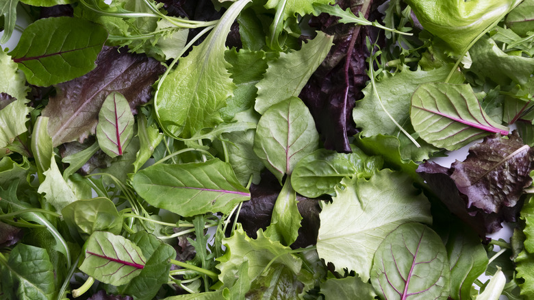 Pile of various salad greens