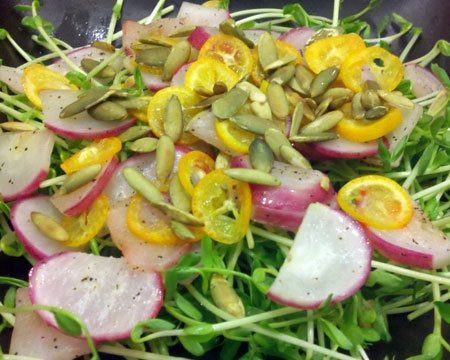 Pea Shoots, Radish, and Kumquat Salad