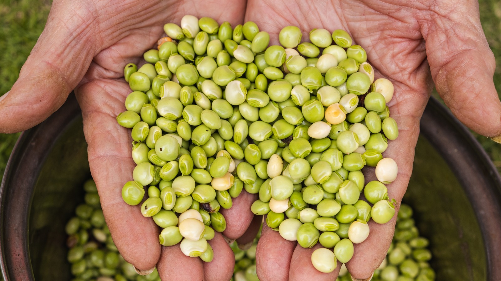 Pigeon Peas Are A Truly Unique Topper For Sprucing Up Your Salad