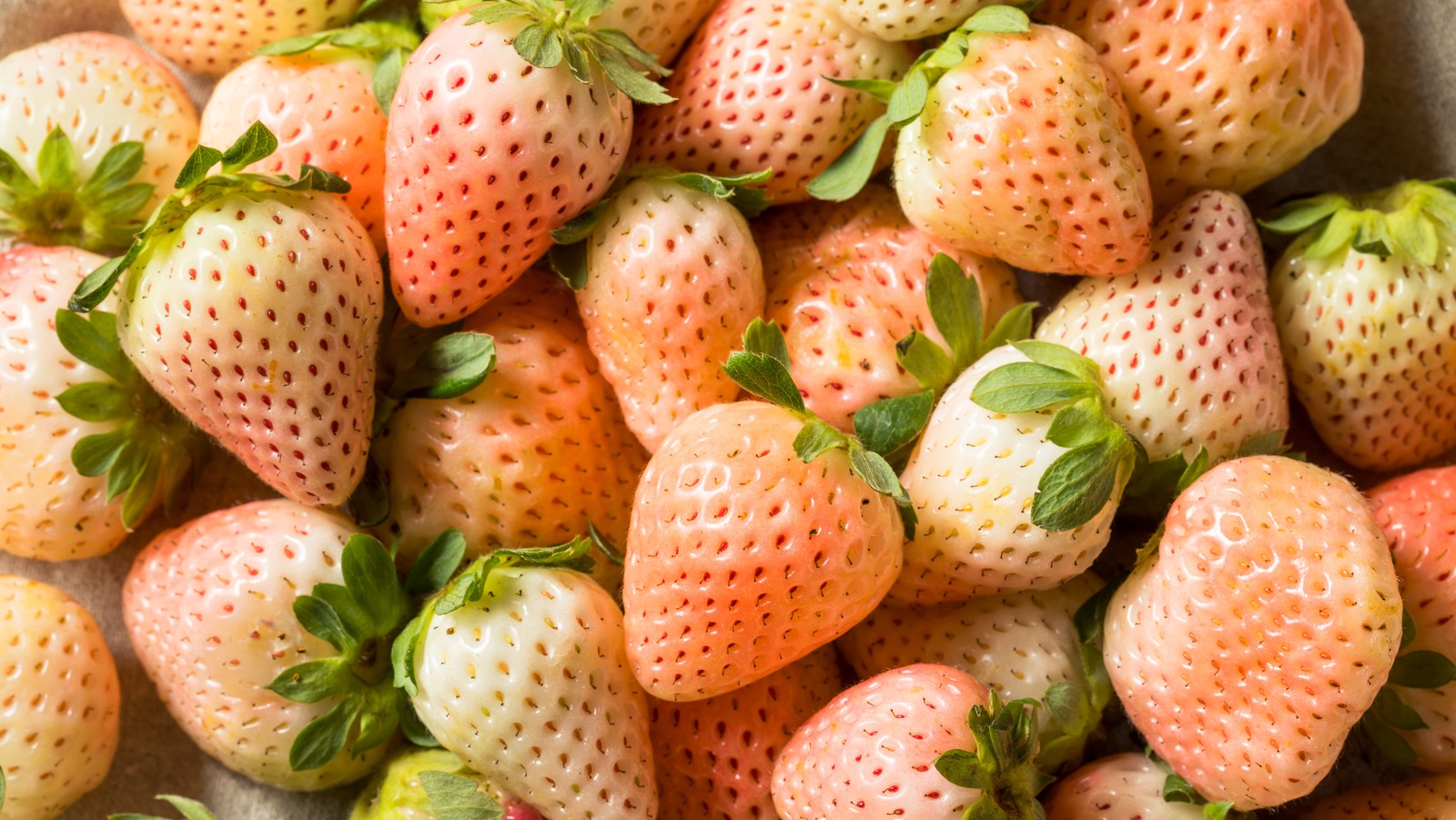 Pineberries Vs Strawberries What's The Difference?