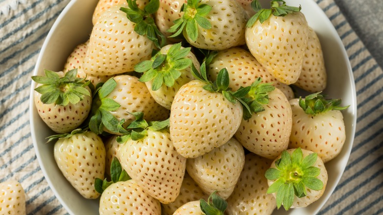 White strawberries from Chile