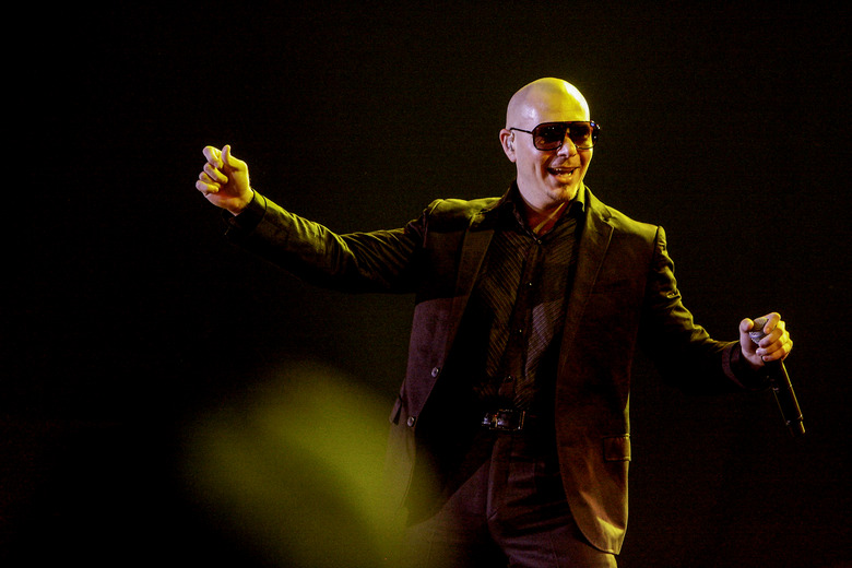 pitbull rapper