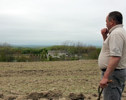 Planting Hudson River Valley's Newest Riesling