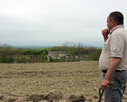 Planting Hudson River Valley&apos;s Newest Riesling