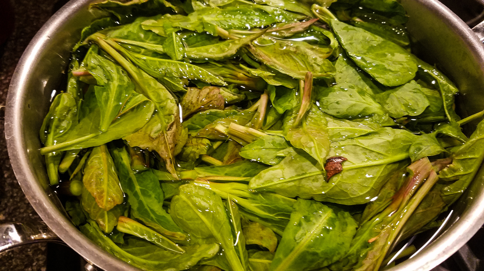 Poke Salad Is An Appalachian Staple That Can Be Dangerous To Eat