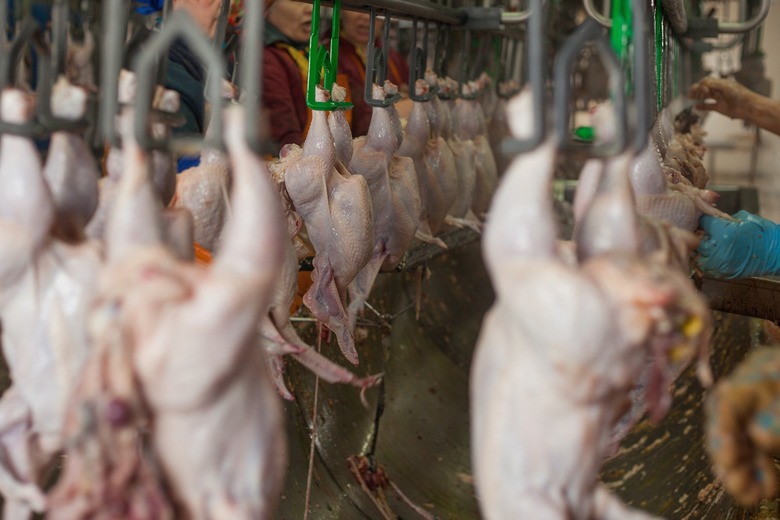 "What would be shocking in most workplaces happens far too often in poultry plants: Workers relieving themselves while standing at their work station," the report said.