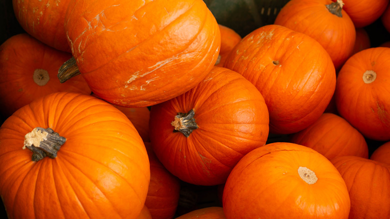 Pile of orange pumpkins in different sizes