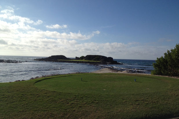 The "Tail of the Whale"