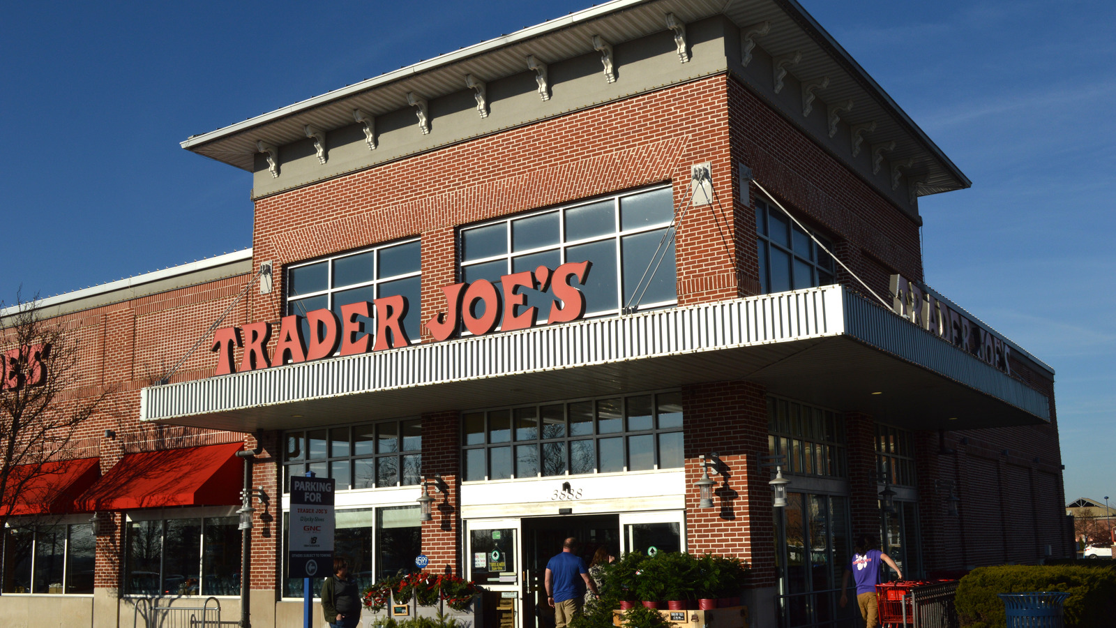 Ranking Trader Joe's Cheese From Worst To Best - Vimarsana News