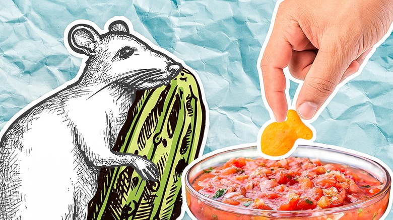 Cartoon rat holding pickle snack