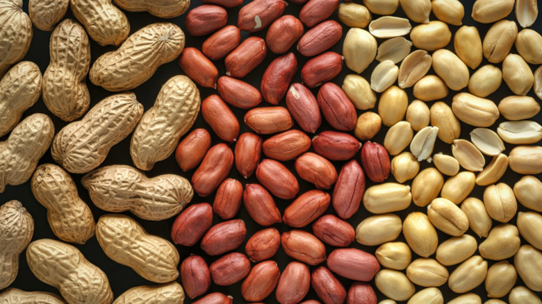 Close up of peanuts in shells, in their skin, and plain