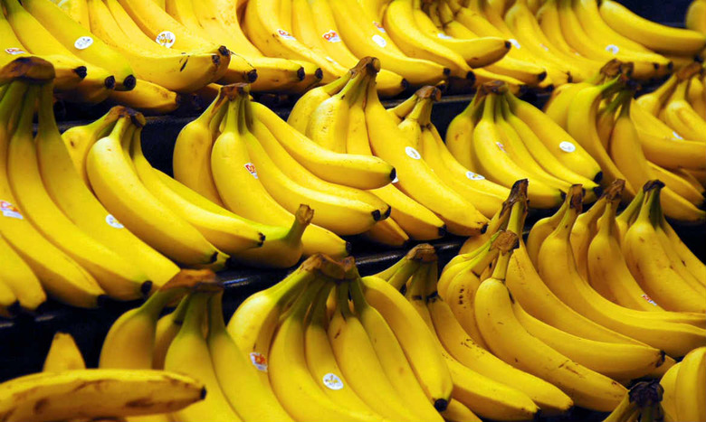 Time to go bananas: Our favorite yellow fruit is in serious danger.