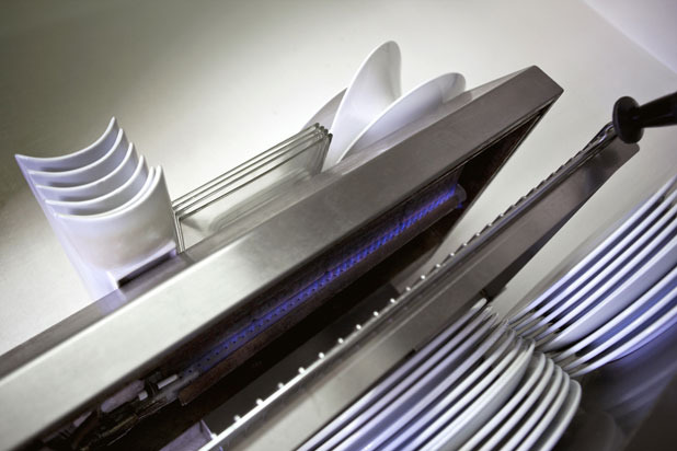 They Have a Salamander