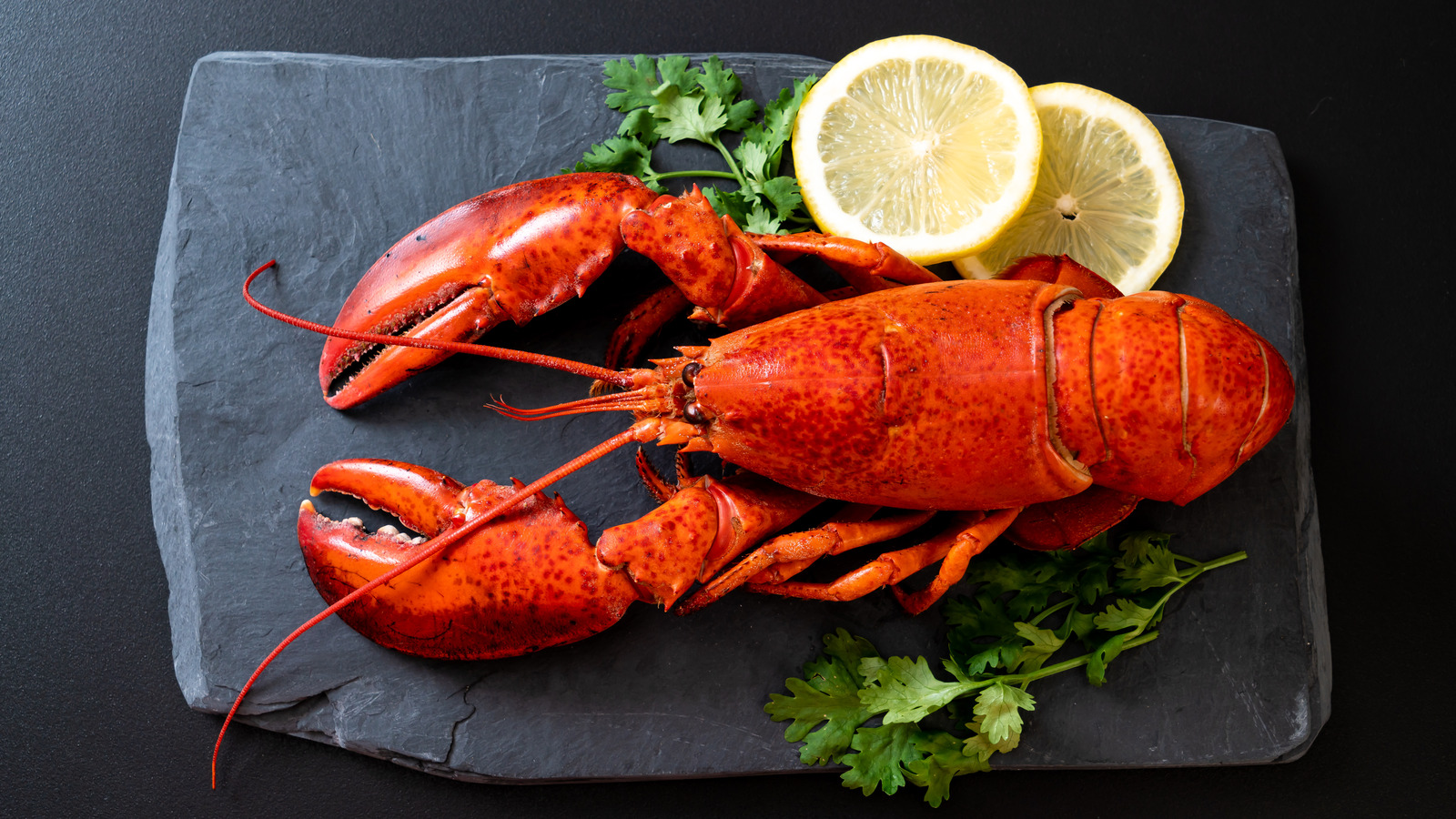 Red Lobster Is Hosting A Free Endless Lobster Party In NYC. Here's How