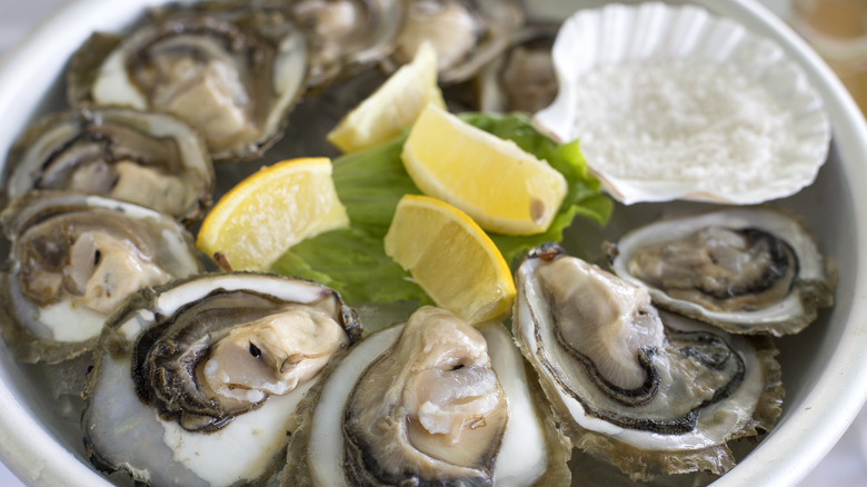 bed of oysters with lemon