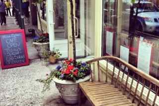 Alison Eighteen - New York City