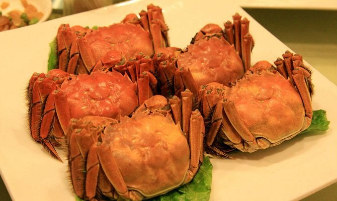 Hairy crabs