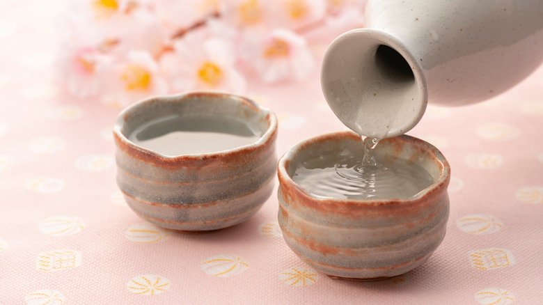 Sake and cherry blossoms