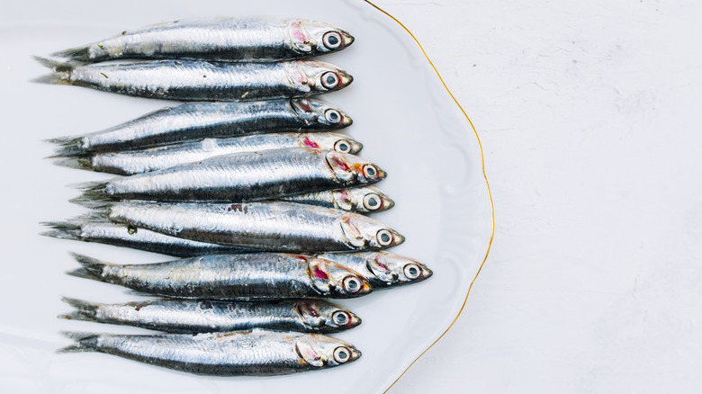 Fresh herring (sardines) on a white, gold-trimmed plate